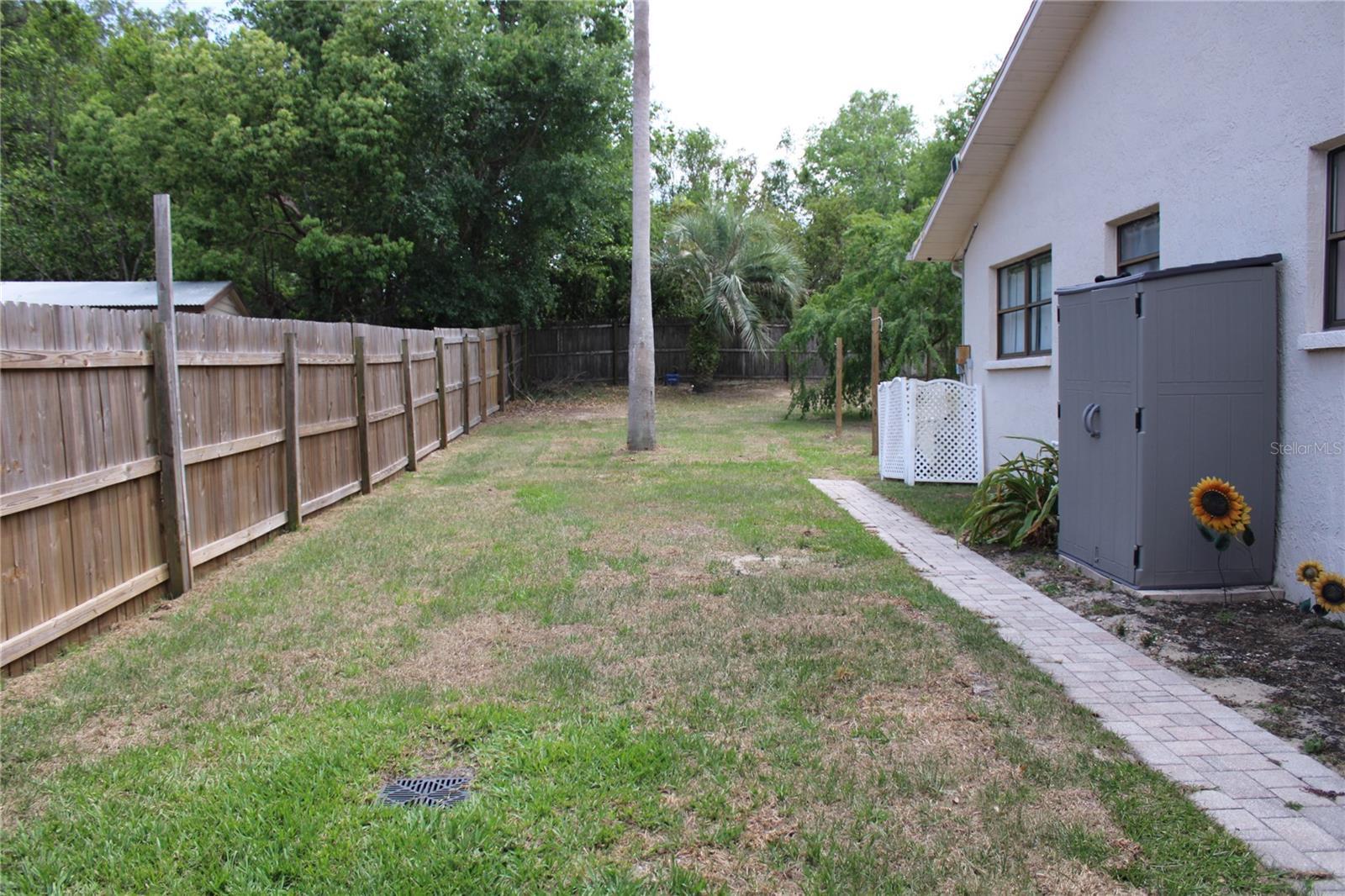 Photo #38