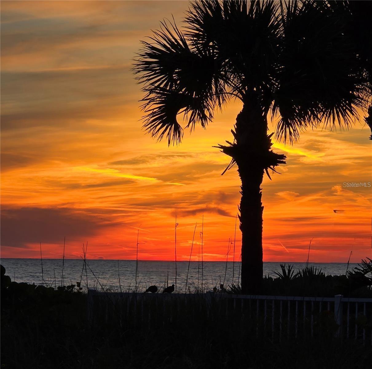 Photo #50