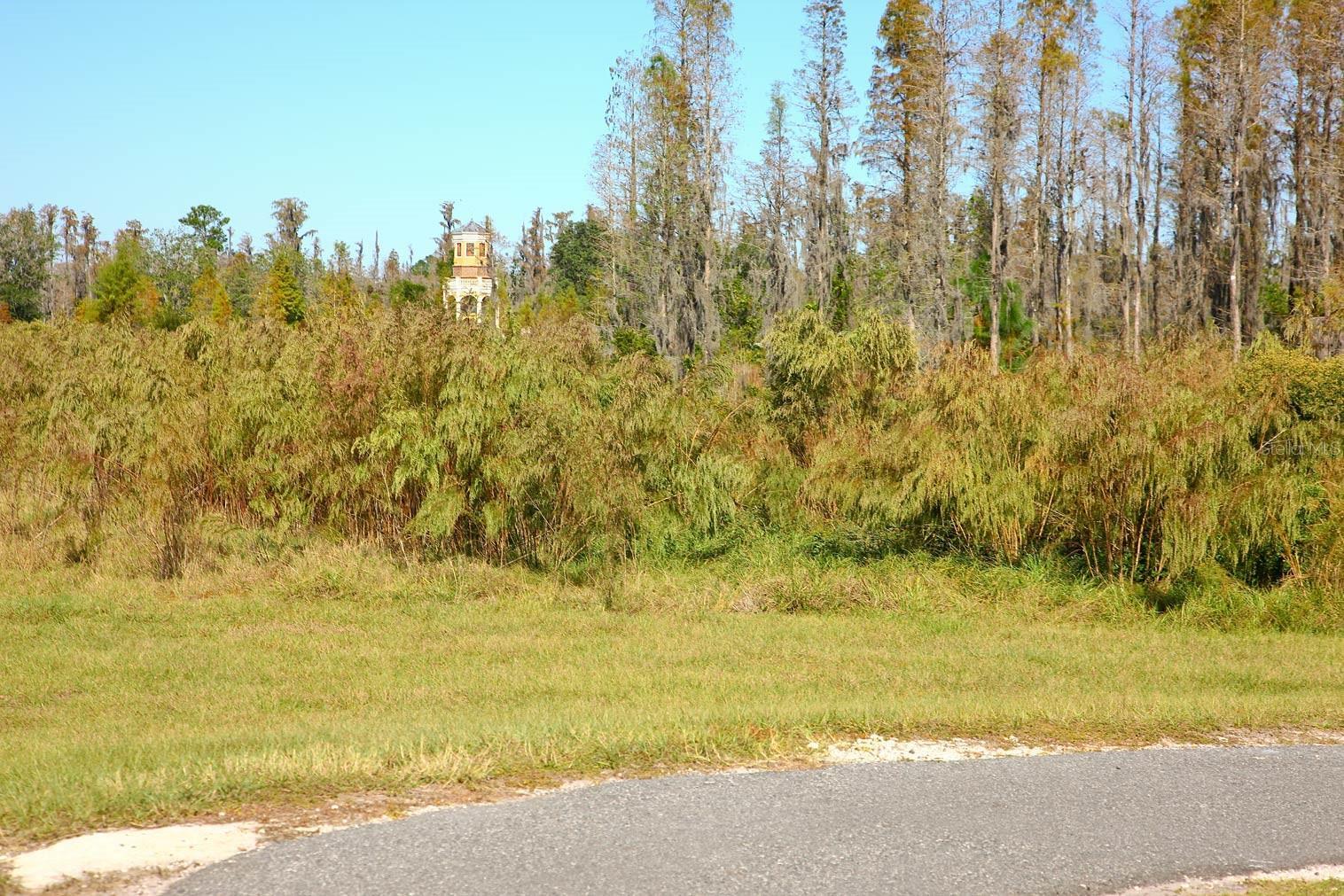Photo #43