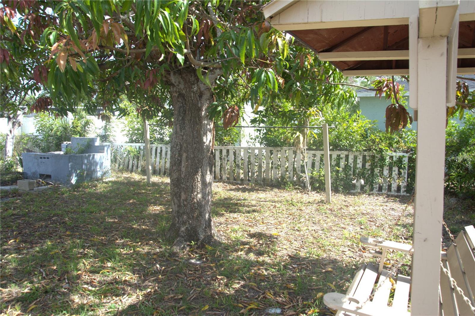 Photo #11