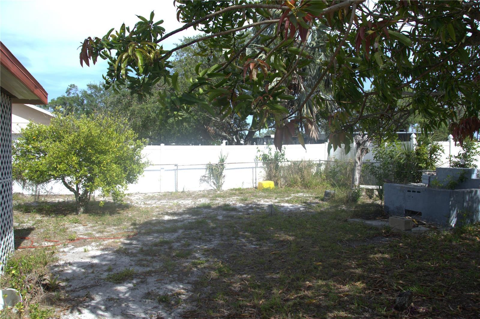 Photo #12