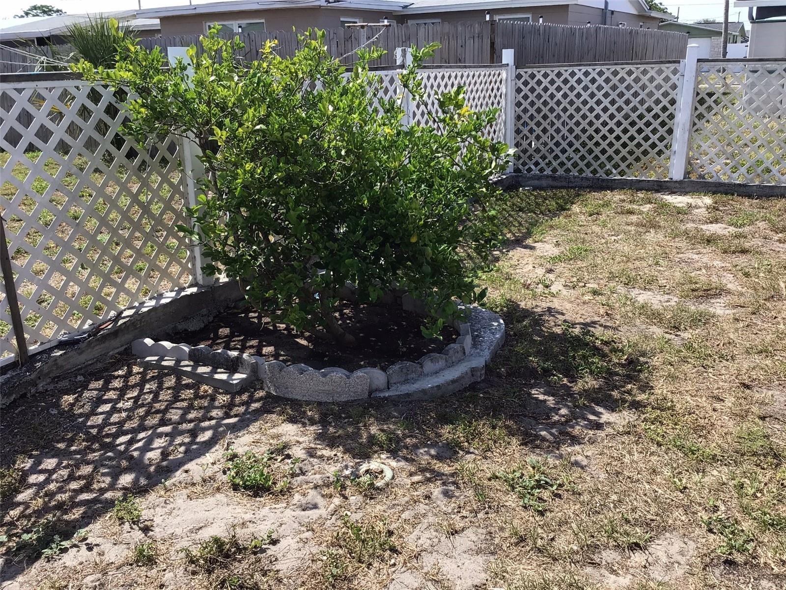 Photo #34