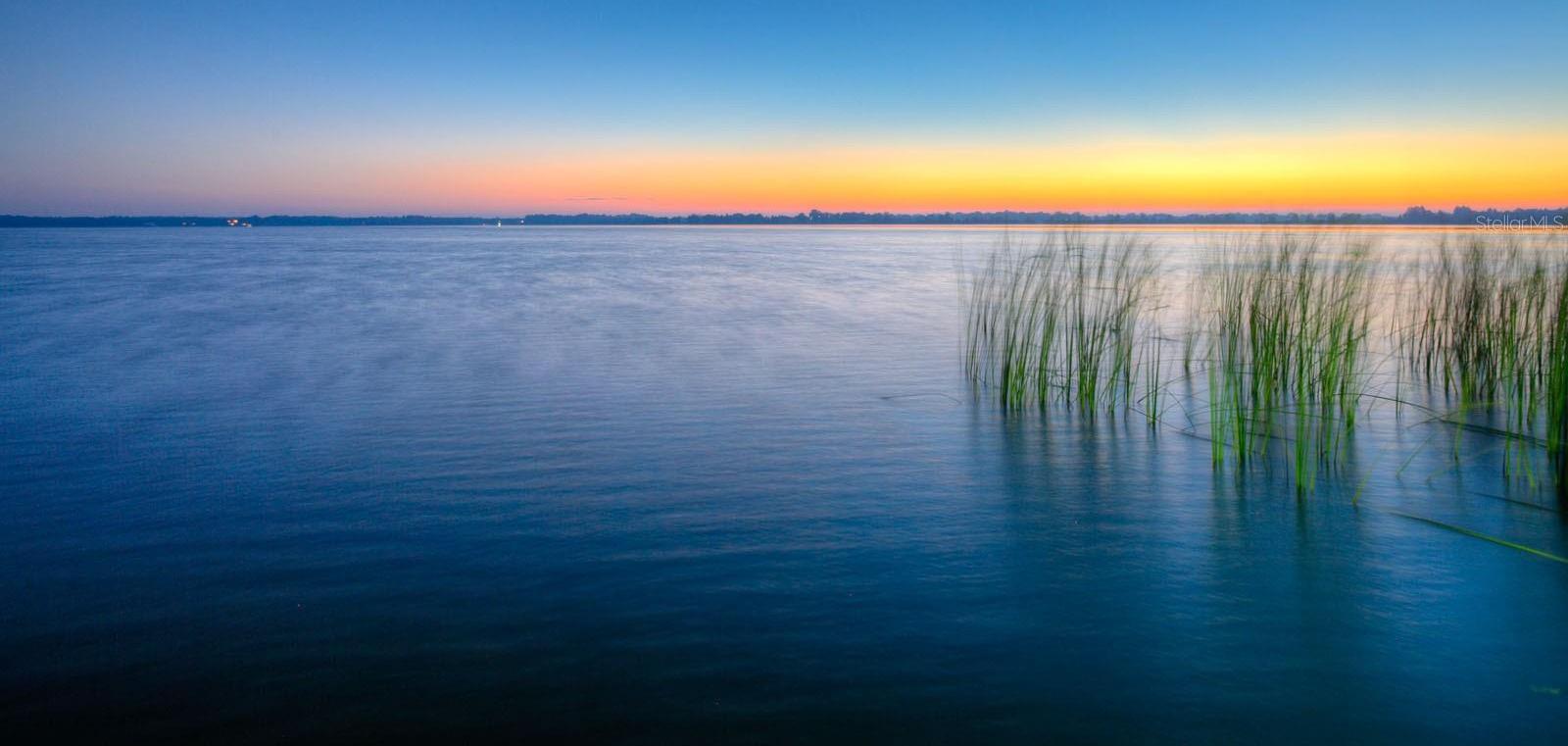Photo #65