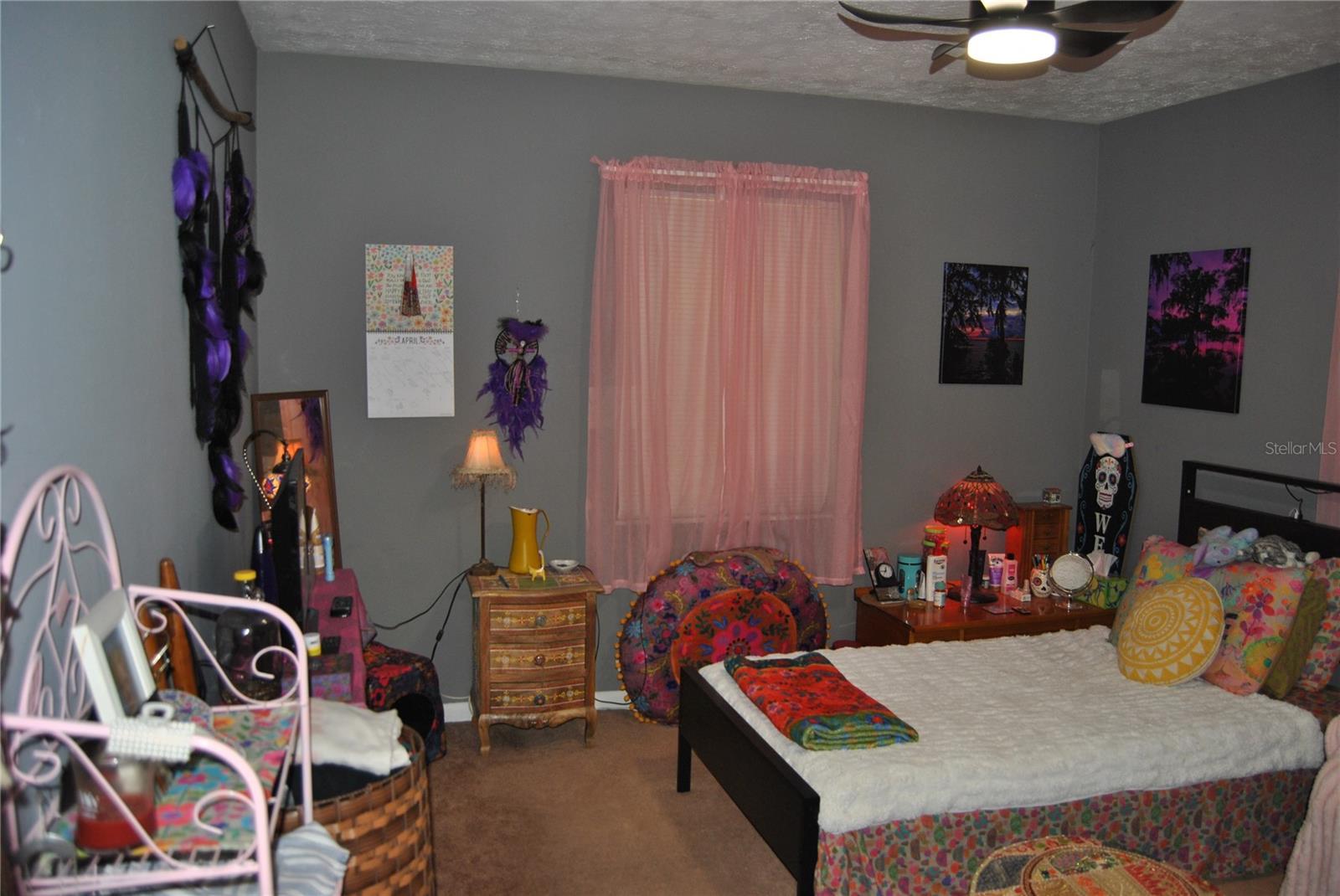 Photo #8