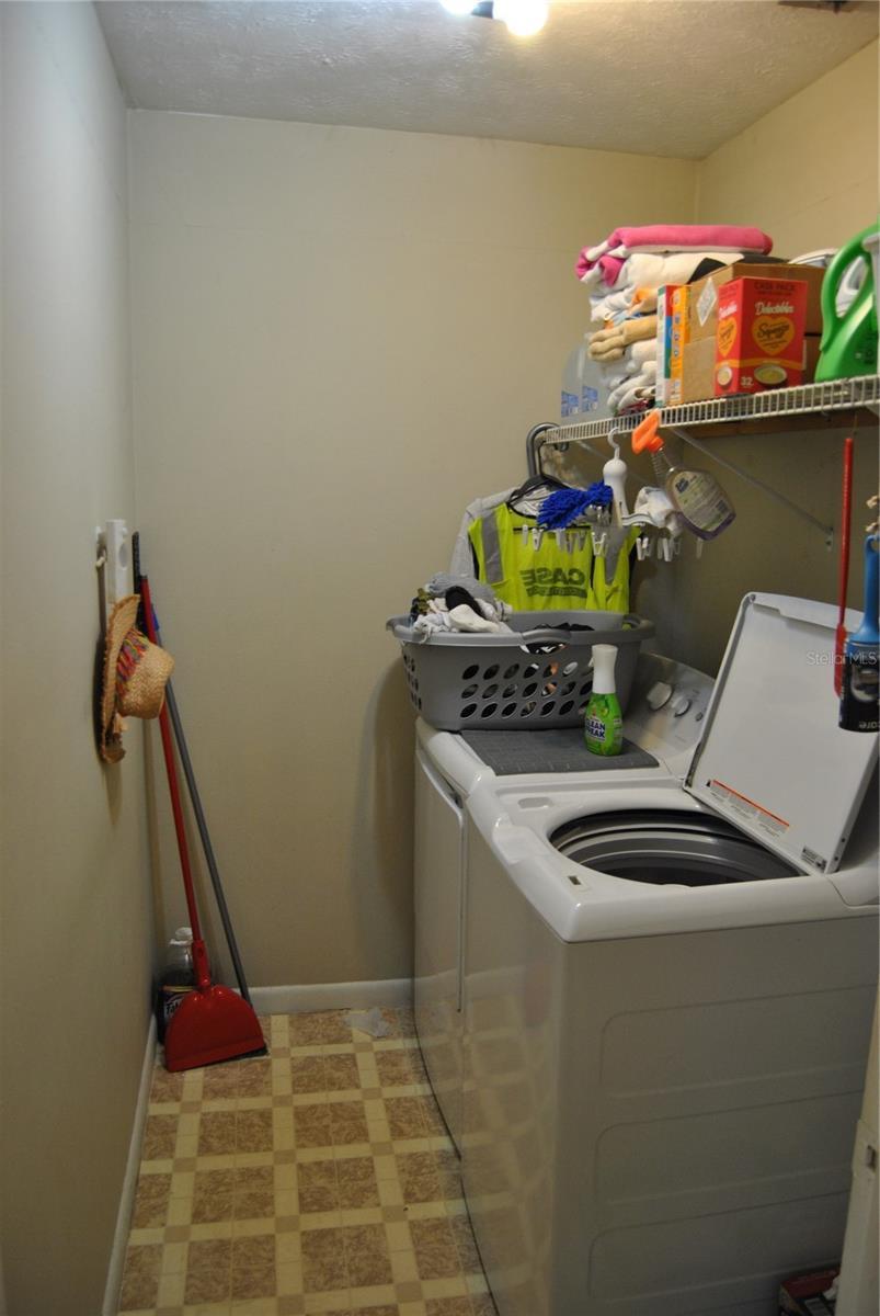 Photo #15
