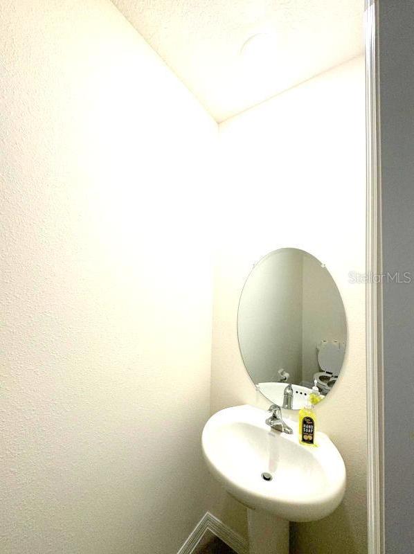 Photo #15