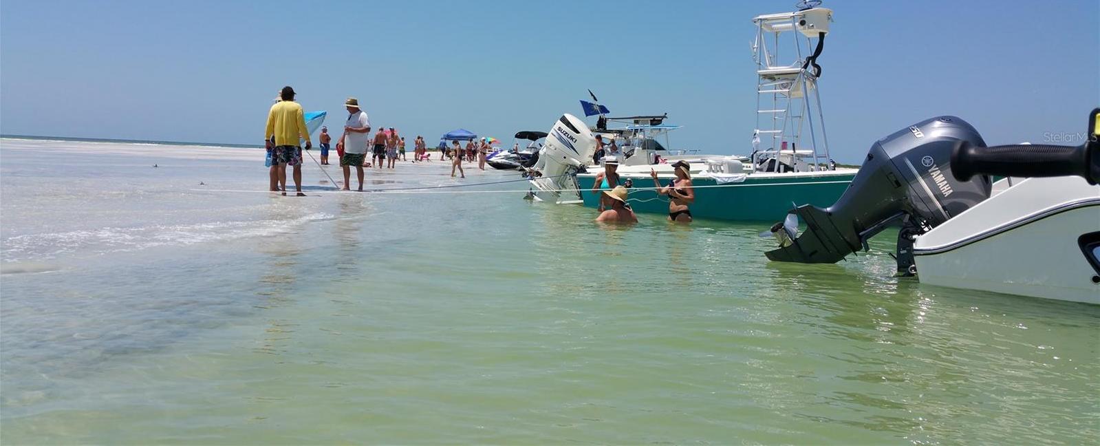 Photo #54