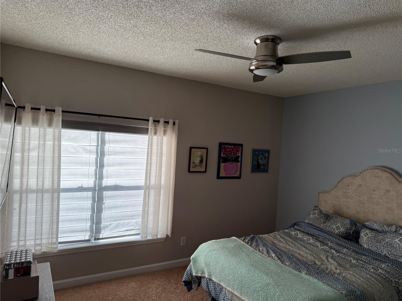 Photo #14
