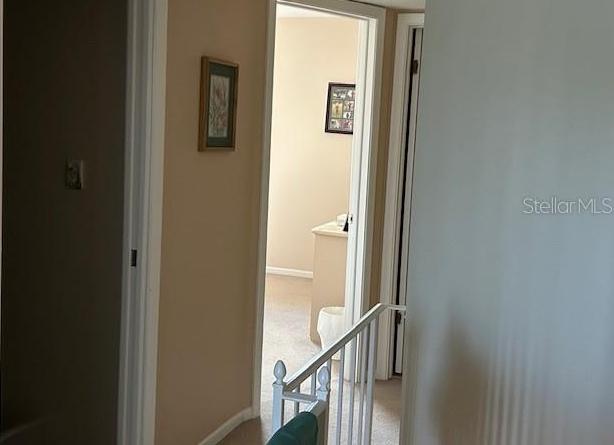 Photo #31