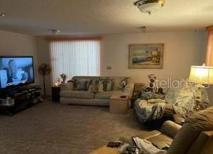 Photo #13