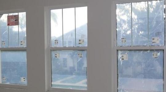 Photo #11