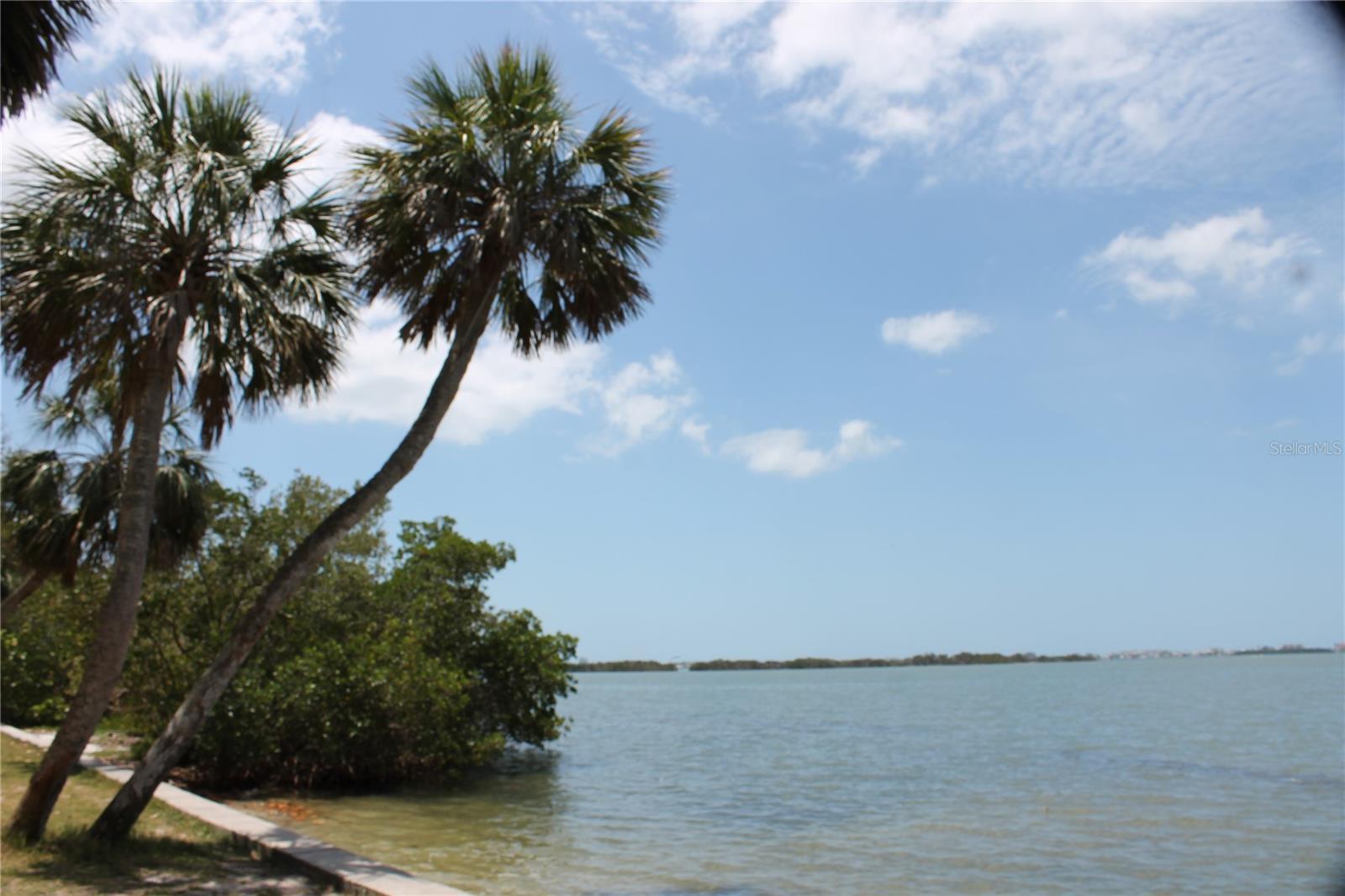 Photo #38