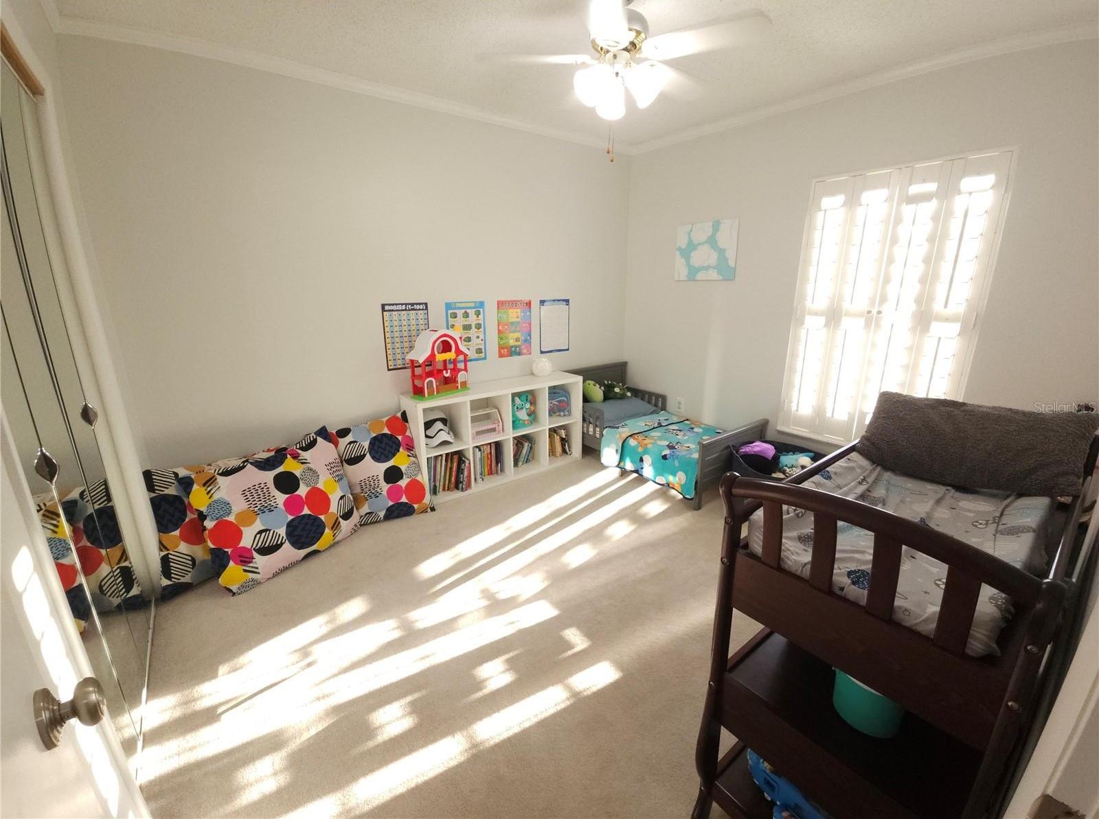 Photo #42