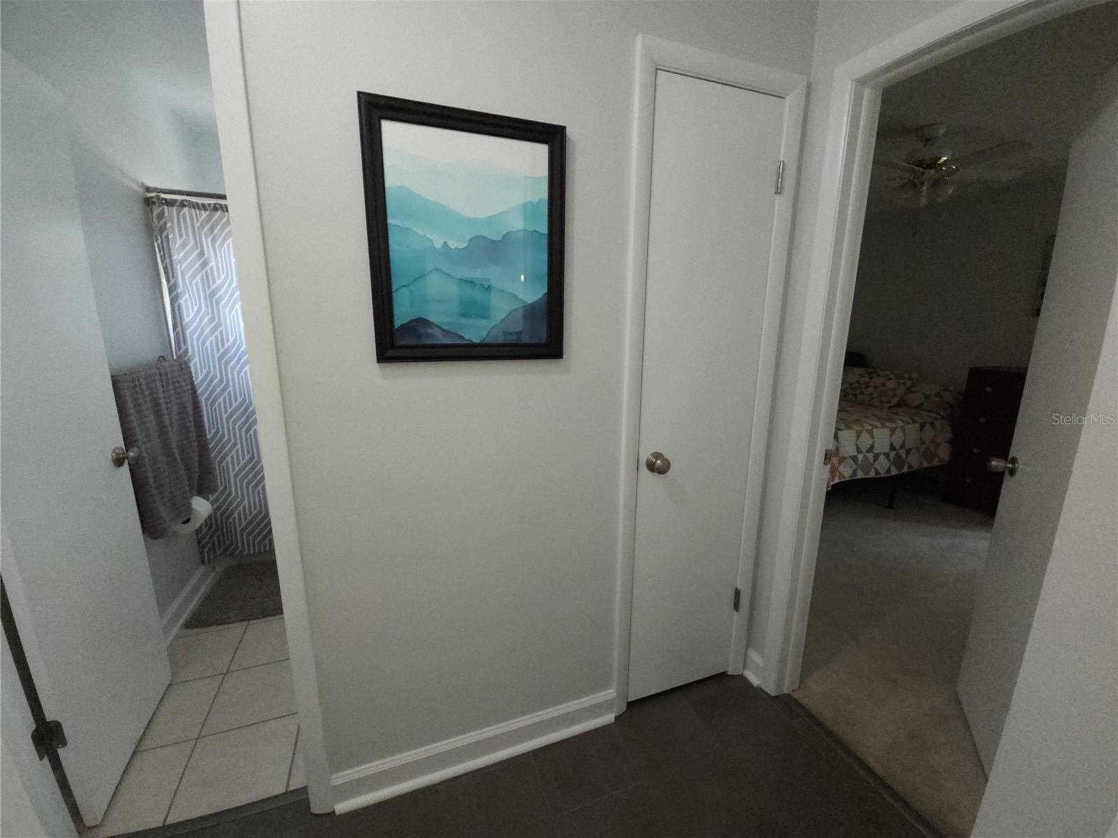 Photo #46