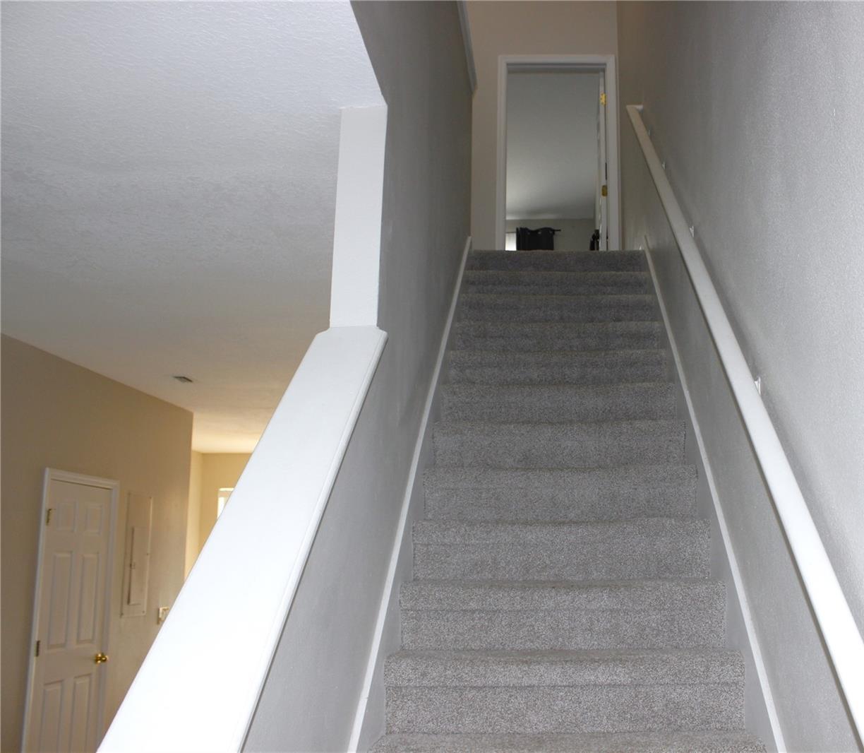 Photo #12