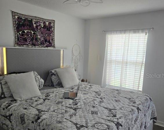 Photo #6