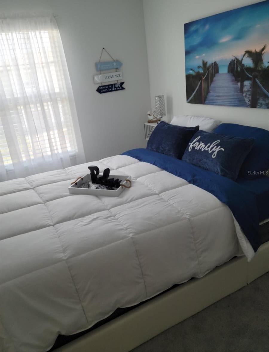 Photo #12
