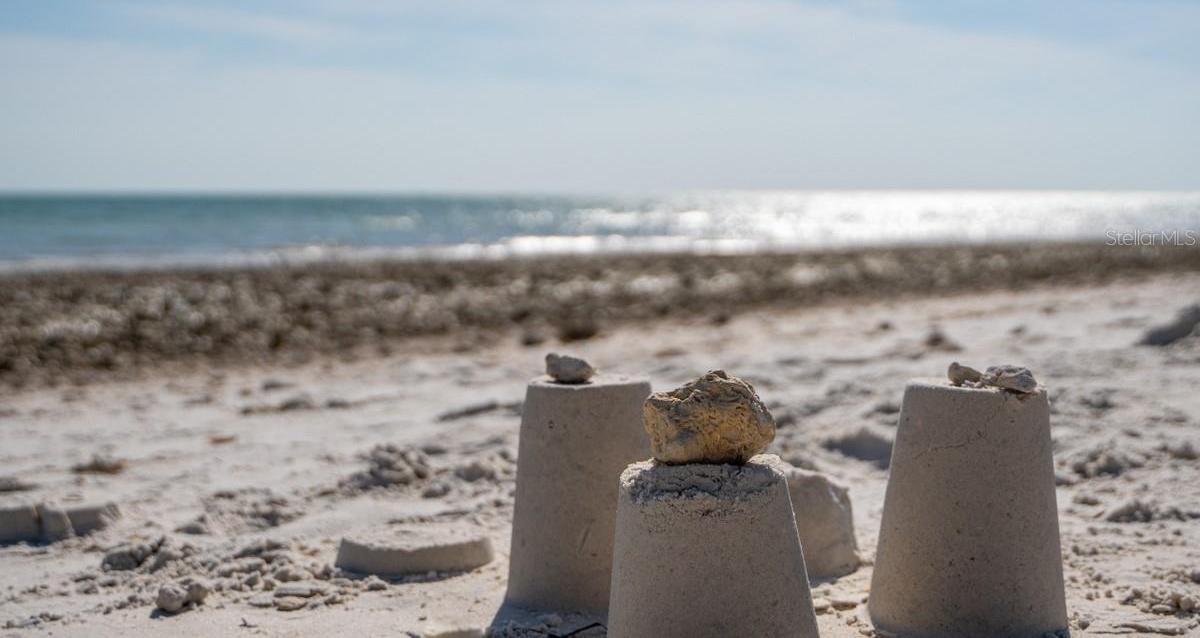 Photo #42