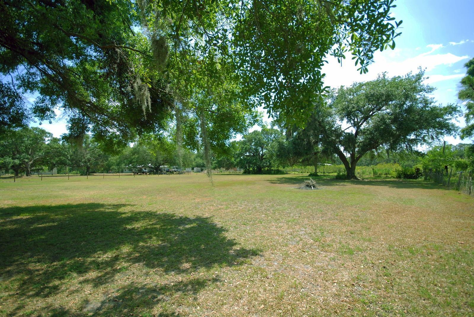 Photo #4