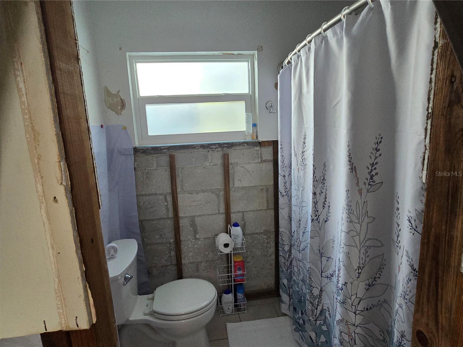 Photo #16
