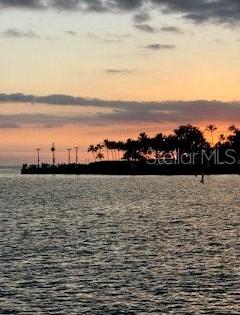 Photo #23