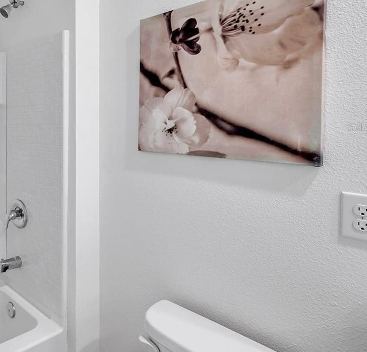 Photo #37