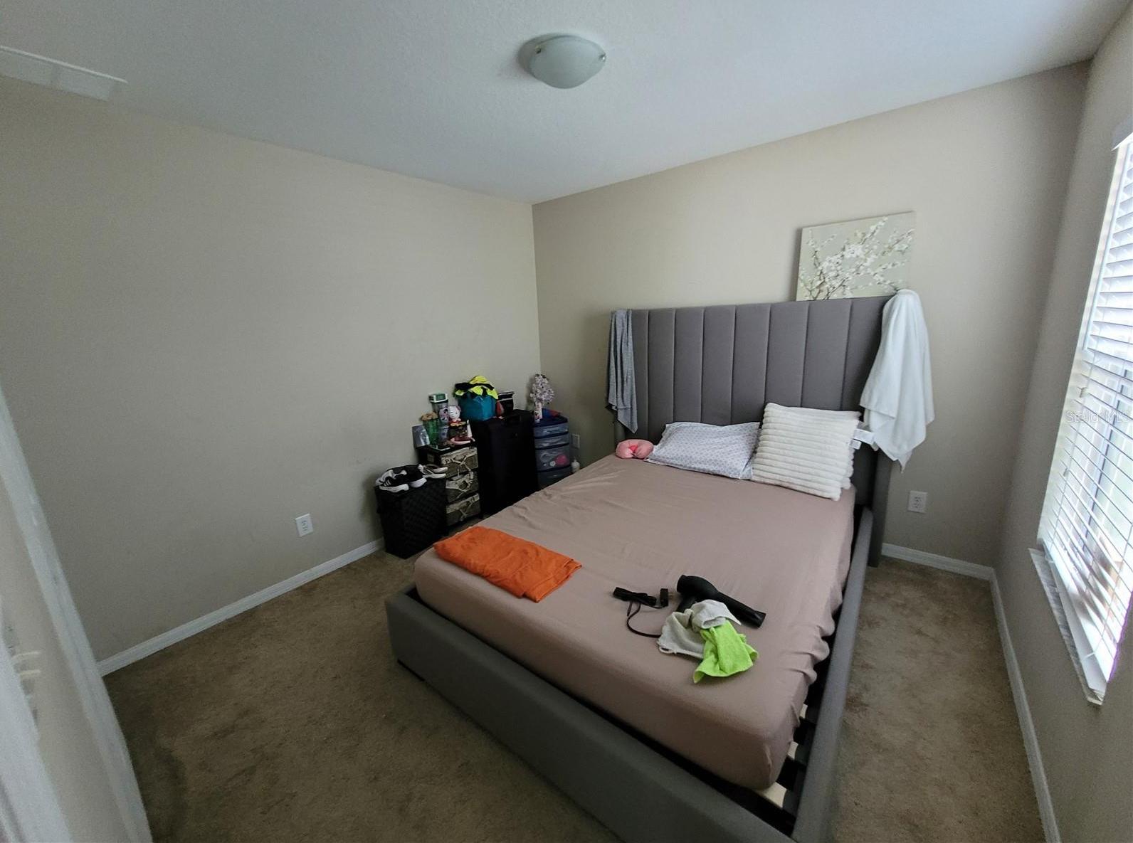 Photo #28