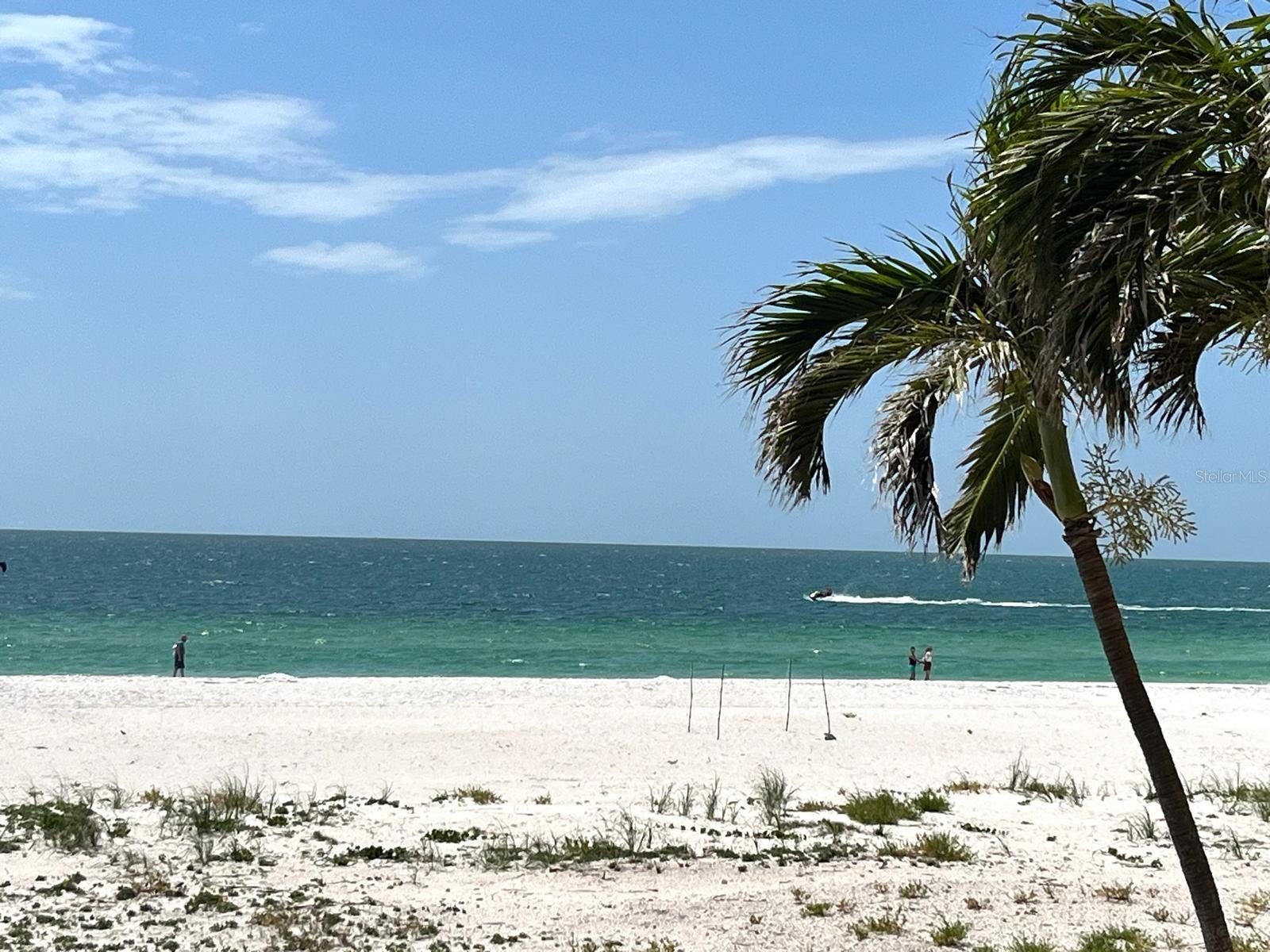 Photo #22