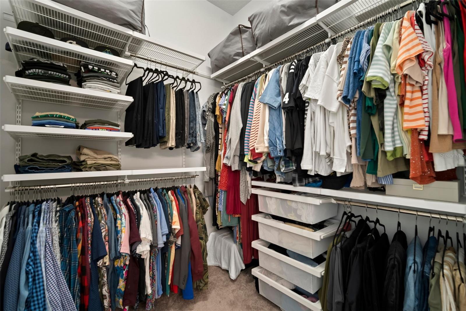 Photo #12