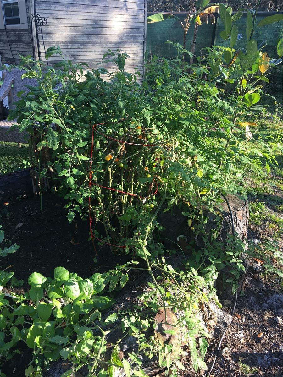 Photo #44