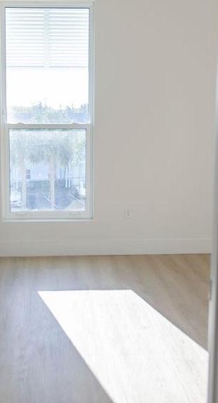 Photo #21