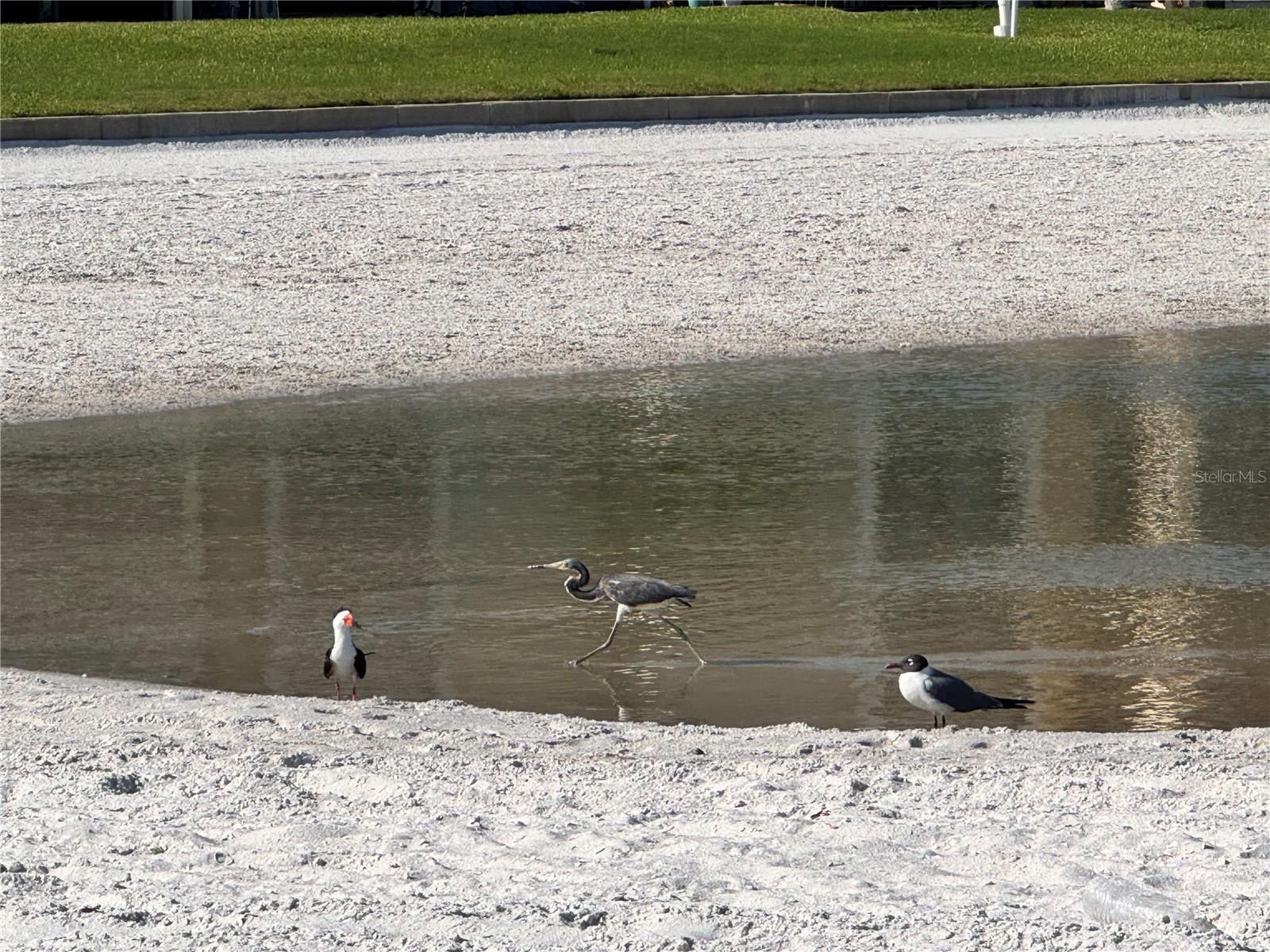 Photo #54