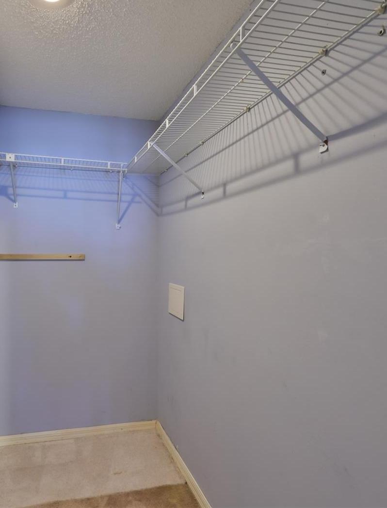 Photo #24