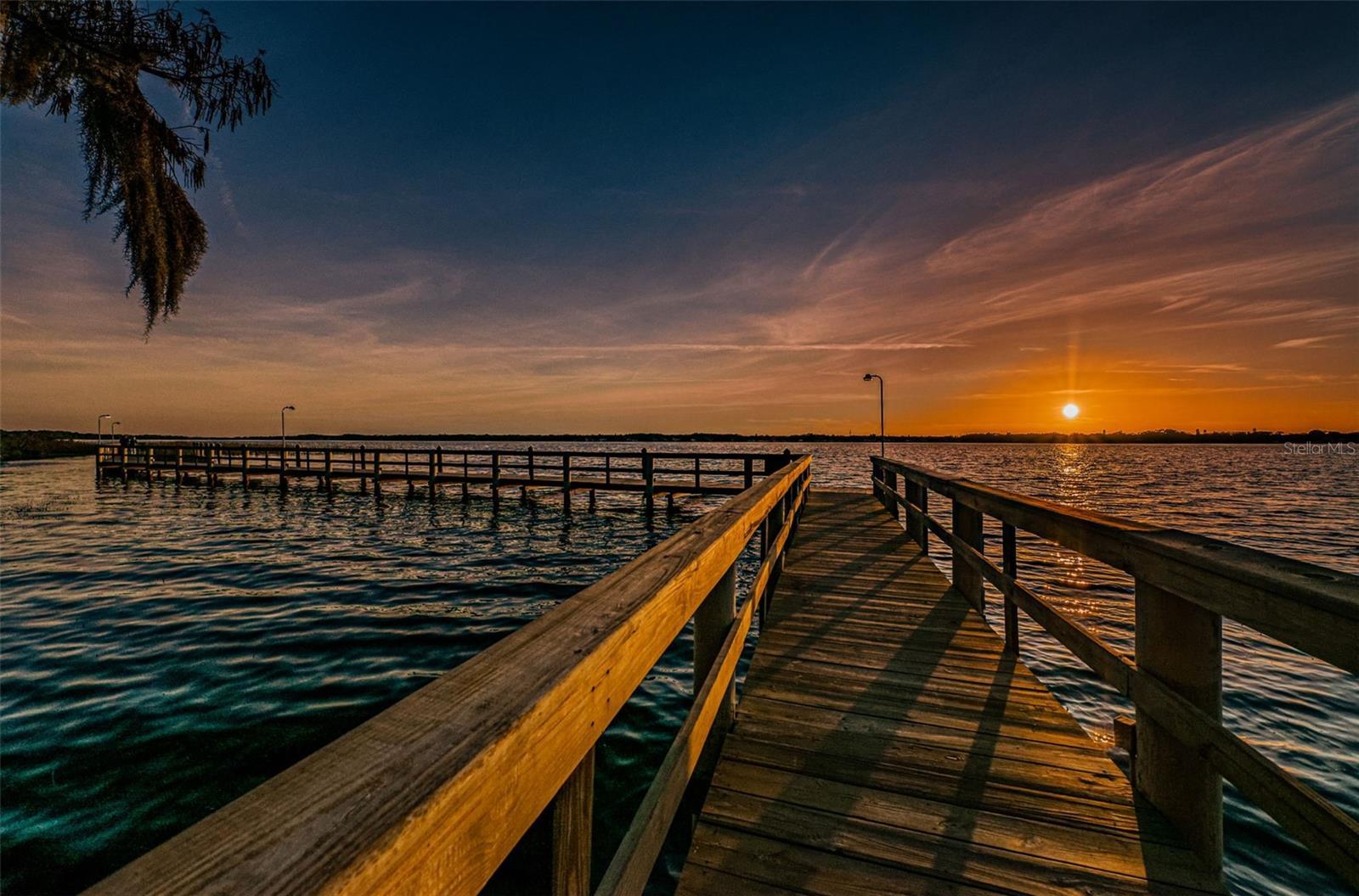 Photo #100