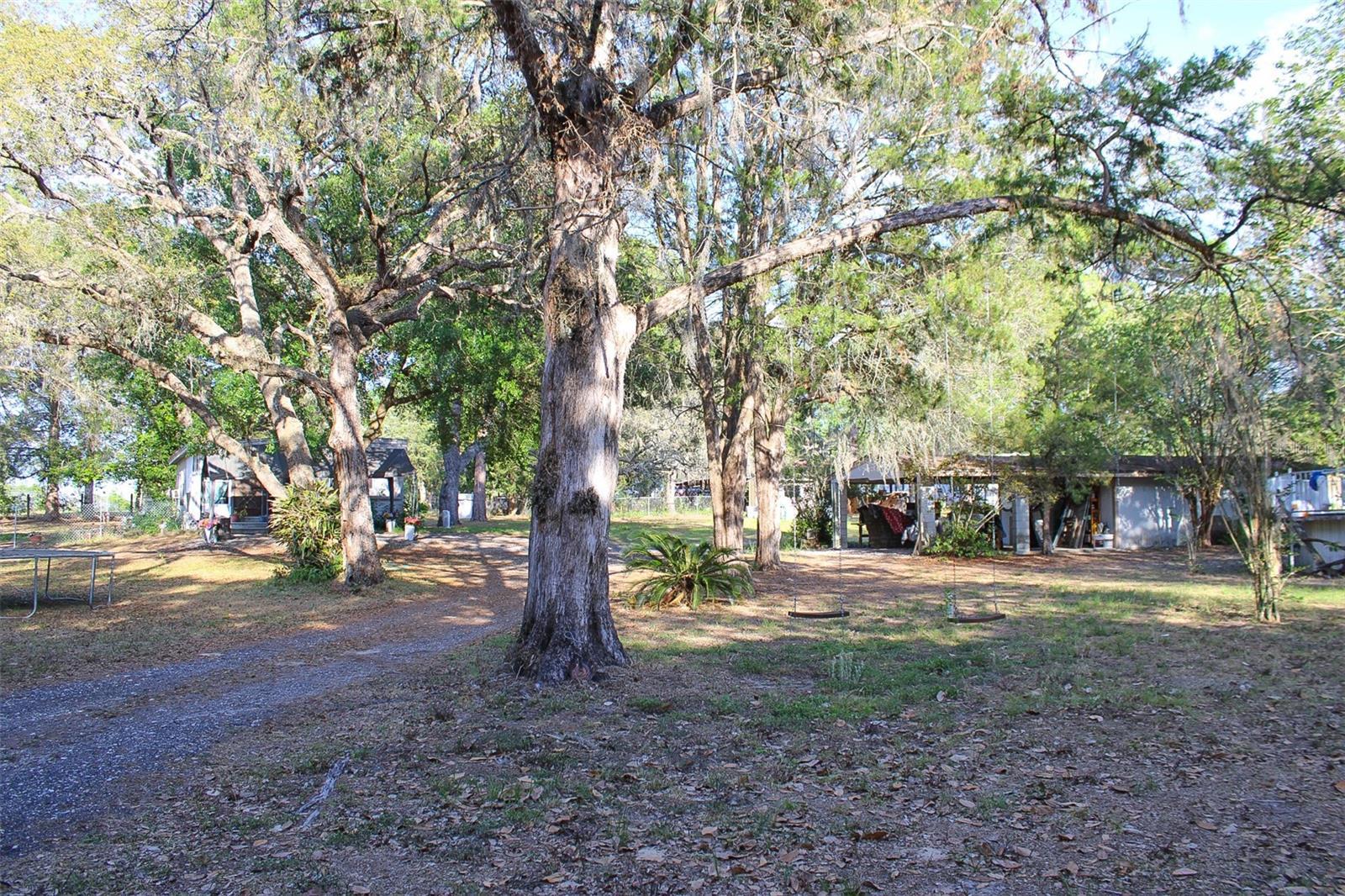 Photo #37