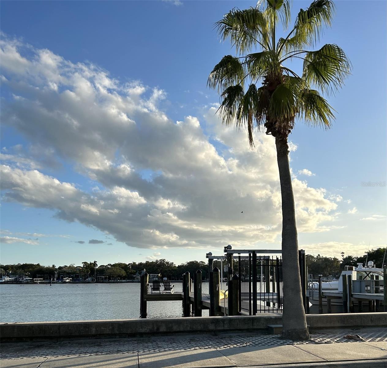 Photo #32
