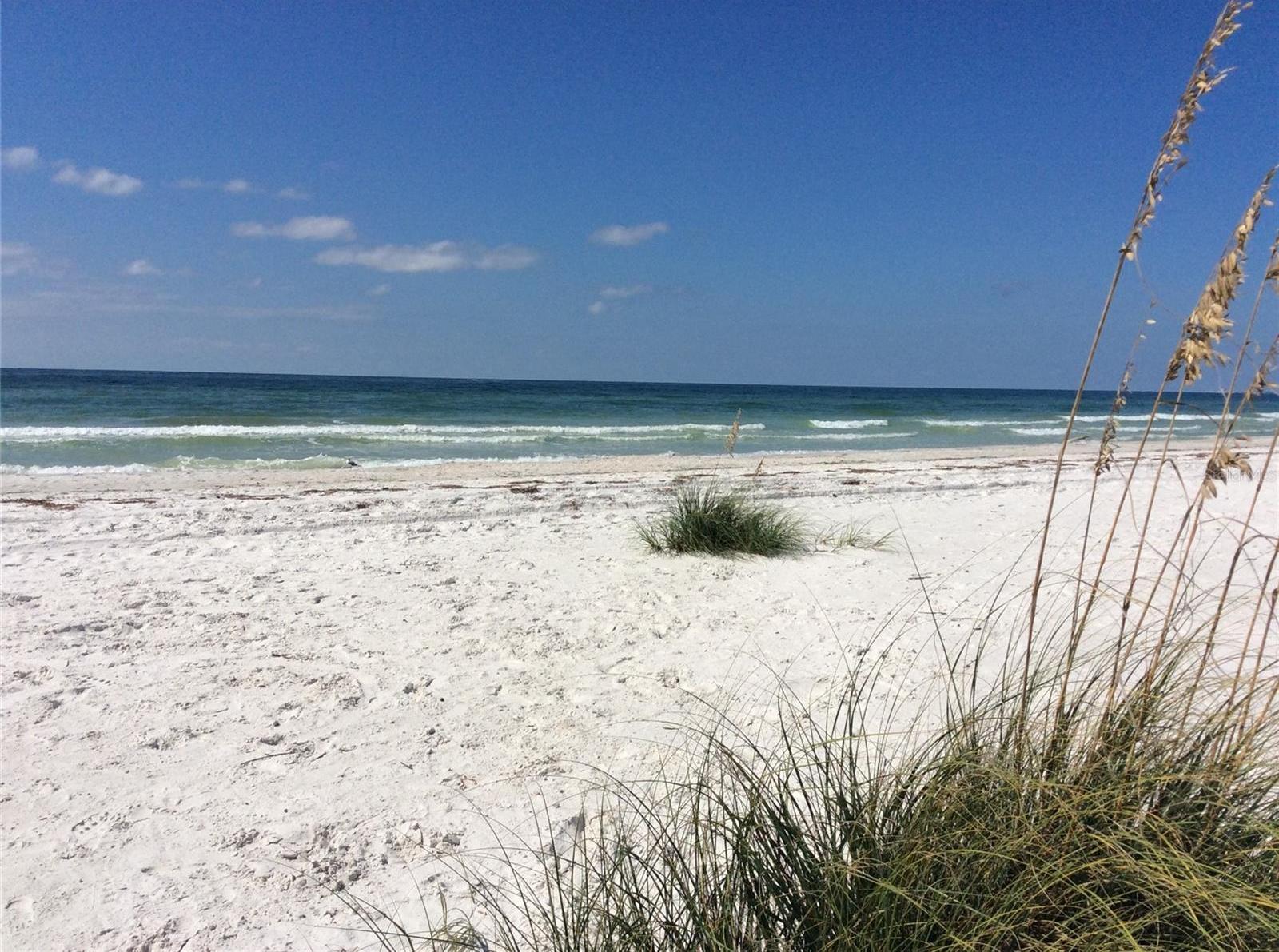 Photo #41