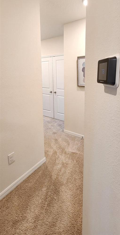 Photo #26