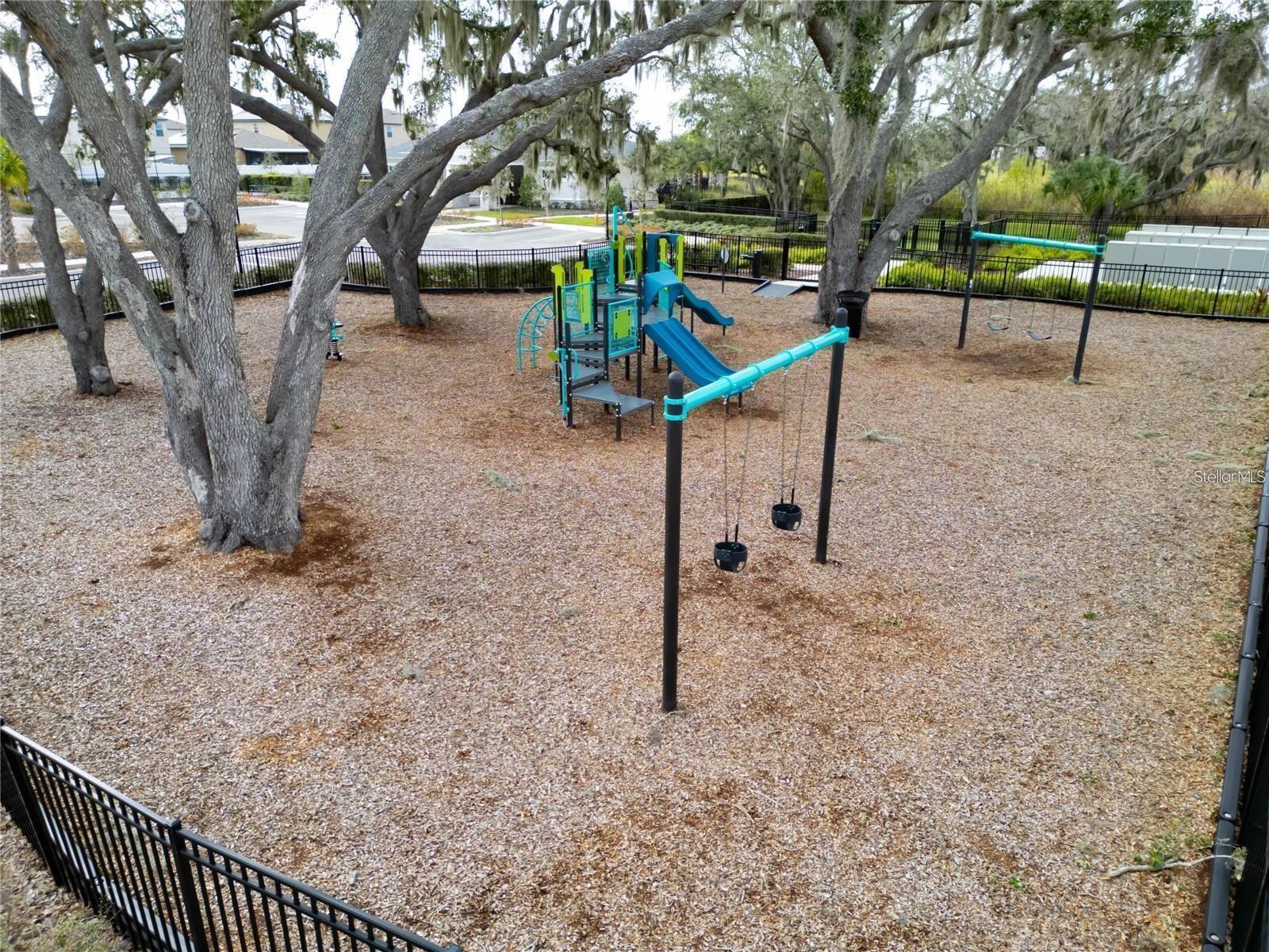Photo #55