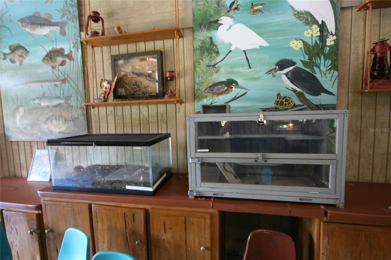 Photo #63