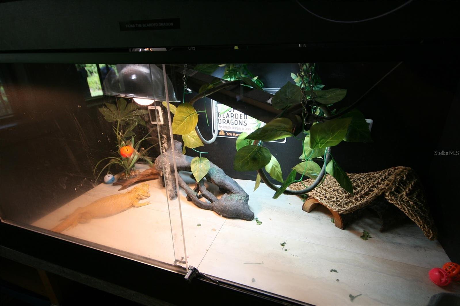 Photo #62