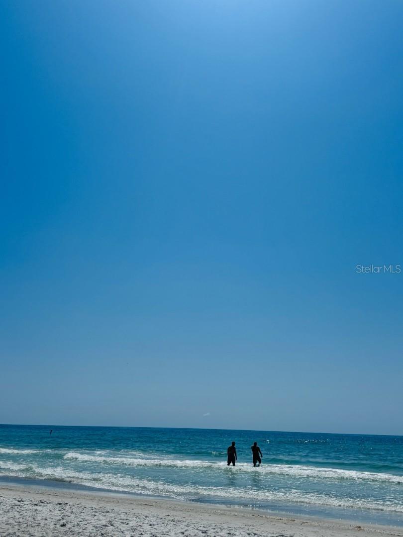 Photo #57