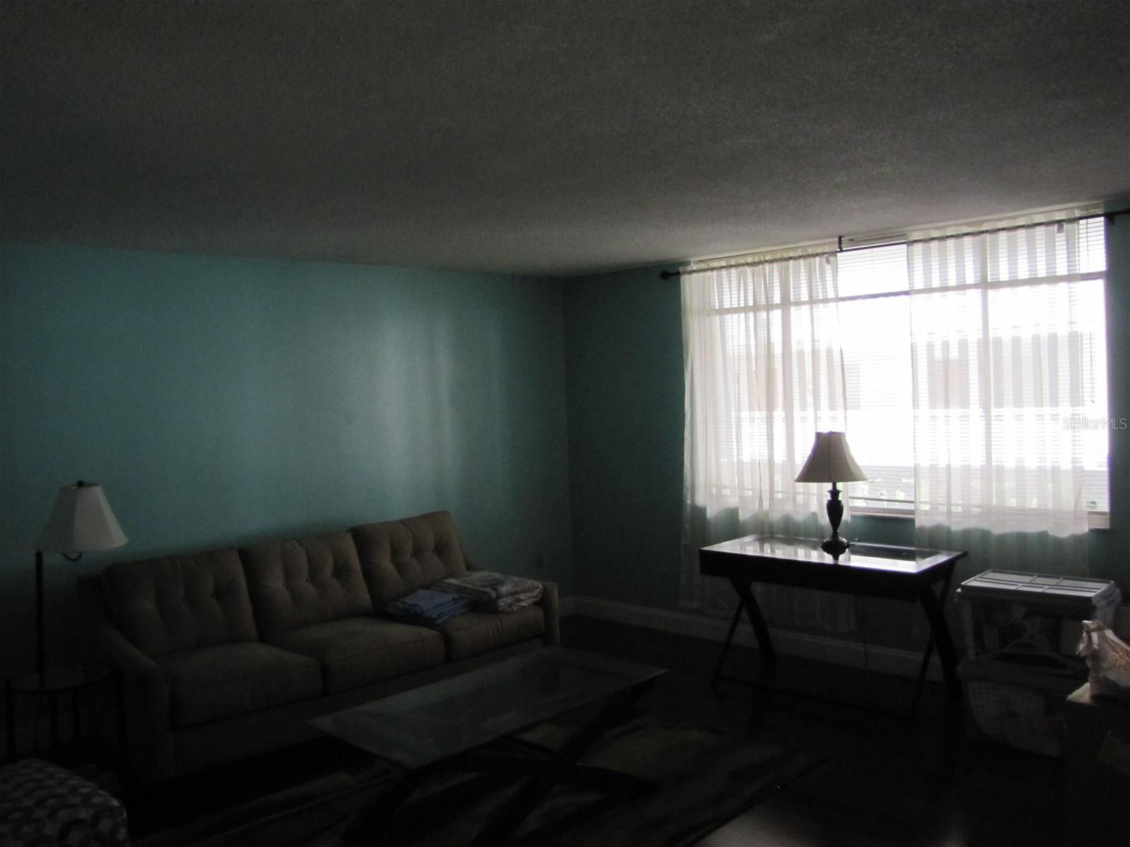 Photo #8