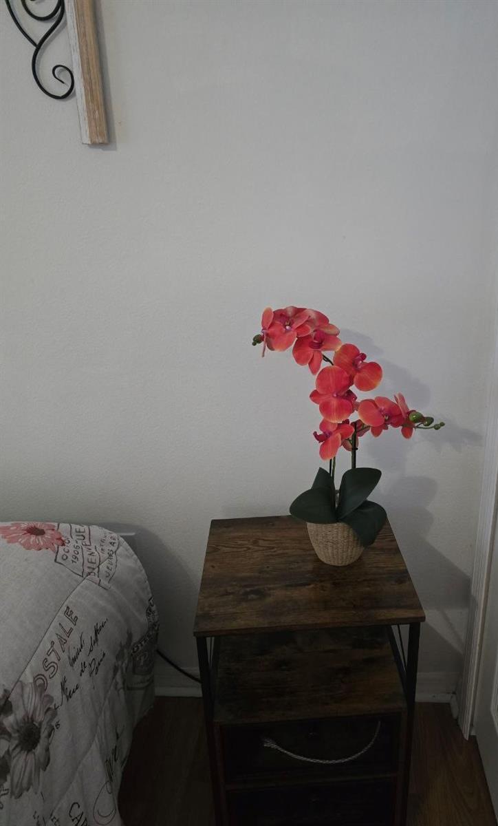 Photo #64
