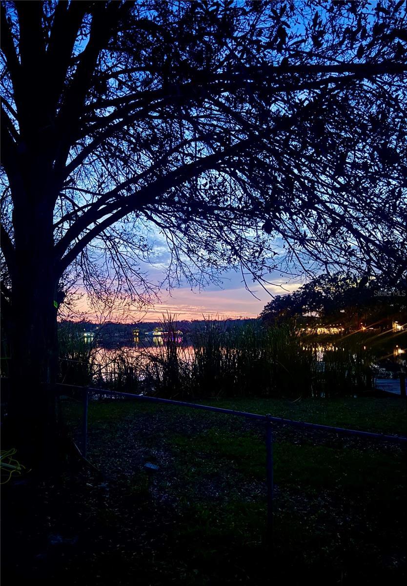 Photo #45