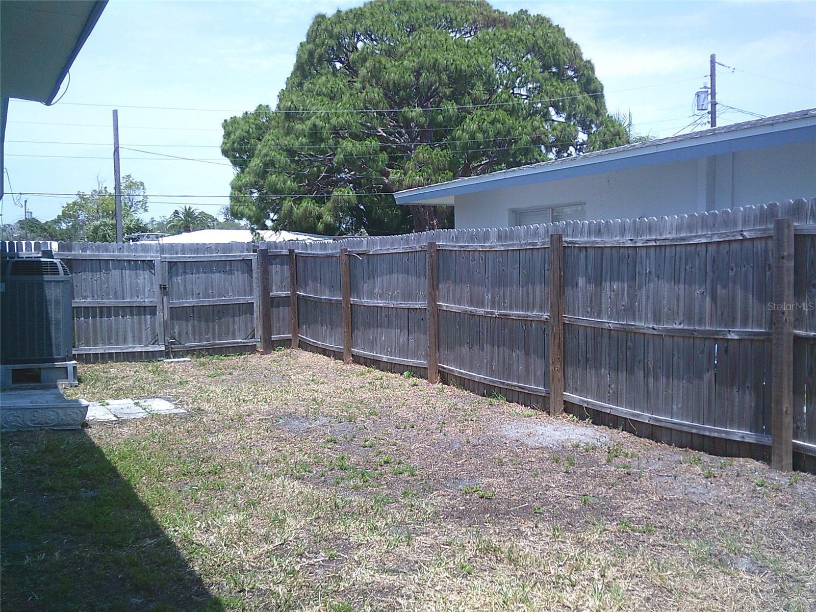 Photo #22
