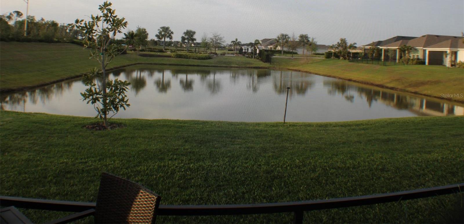 Photo #24