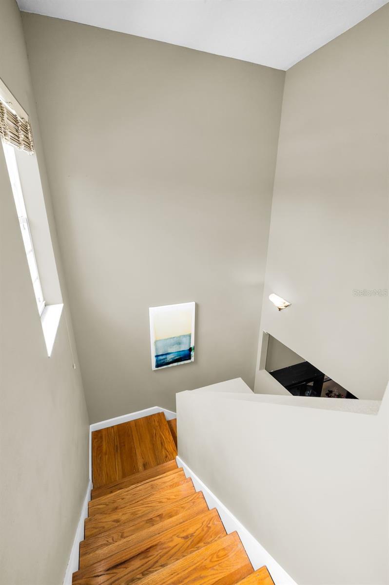 Photo #41