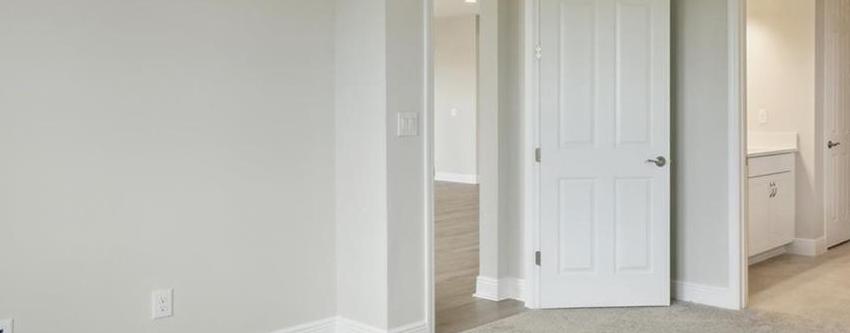 Photo #13