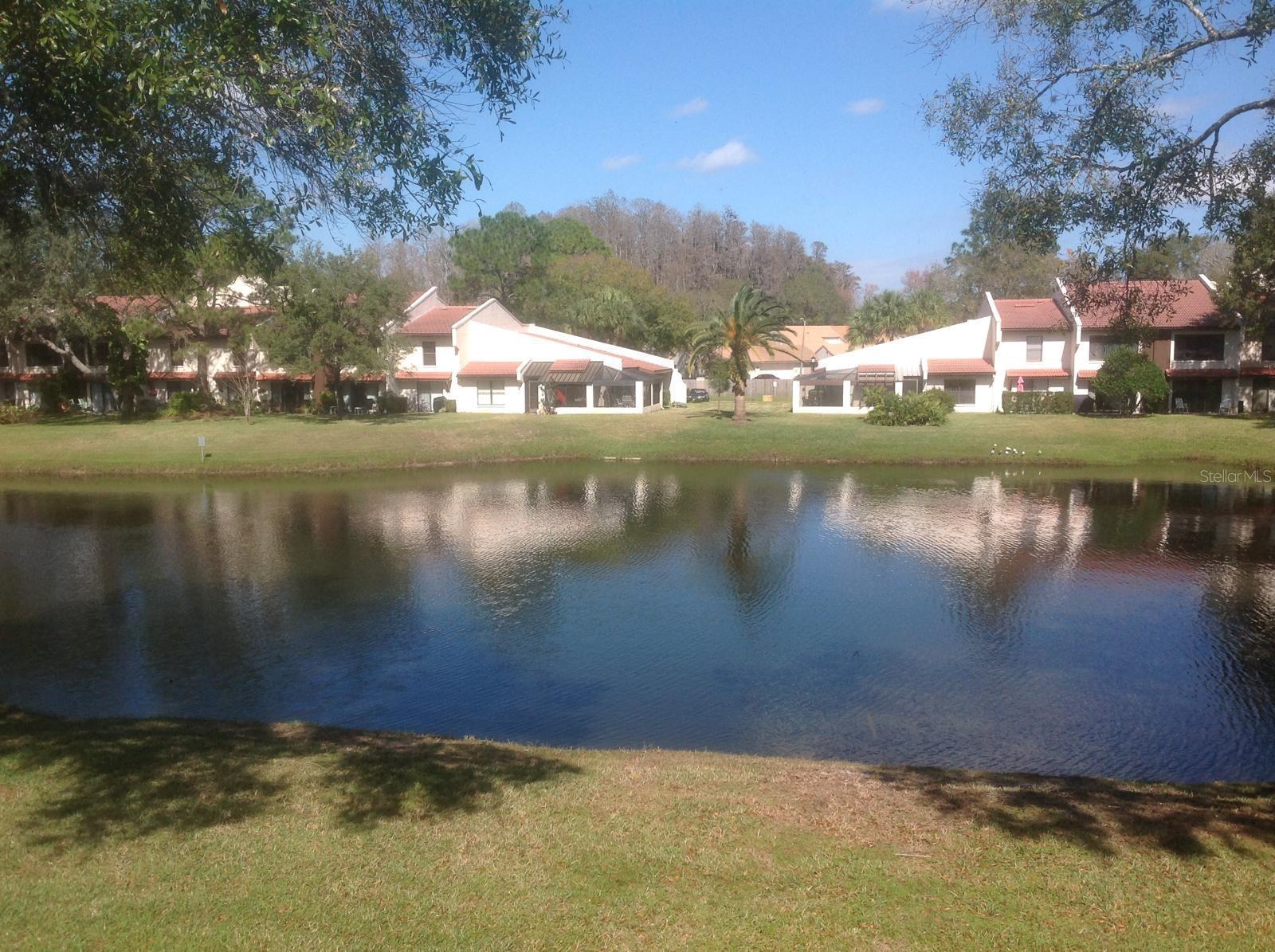 Photo #32